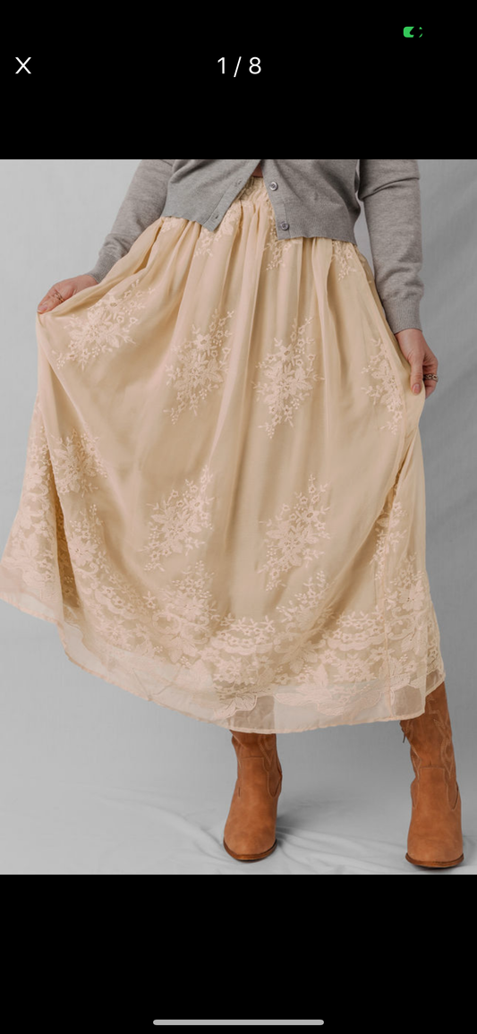 Beige Mesh Skirt